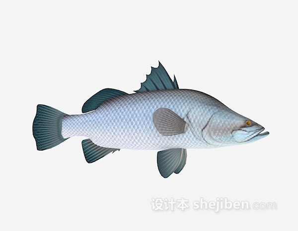 设计本鱼的3d模型下载