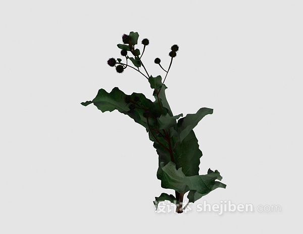 室外植物模型3d下载