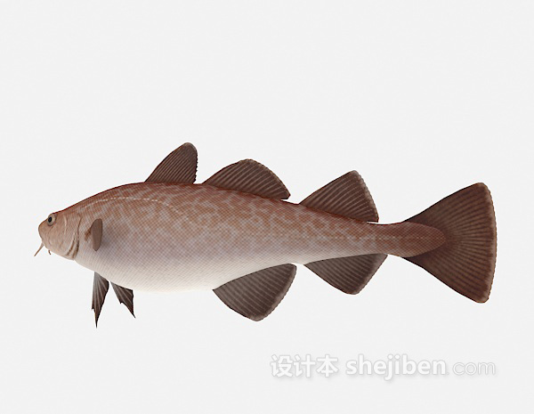 免费红色的鱼3d模型下载
