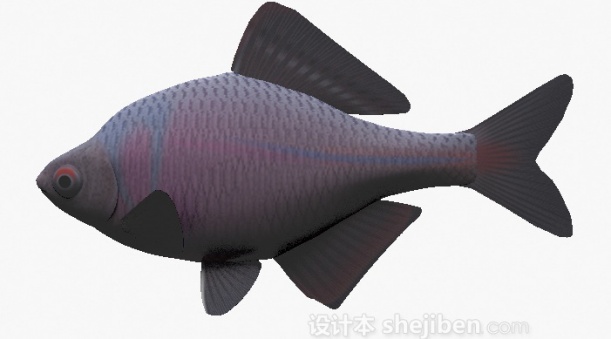紫色鱼3d模型下载