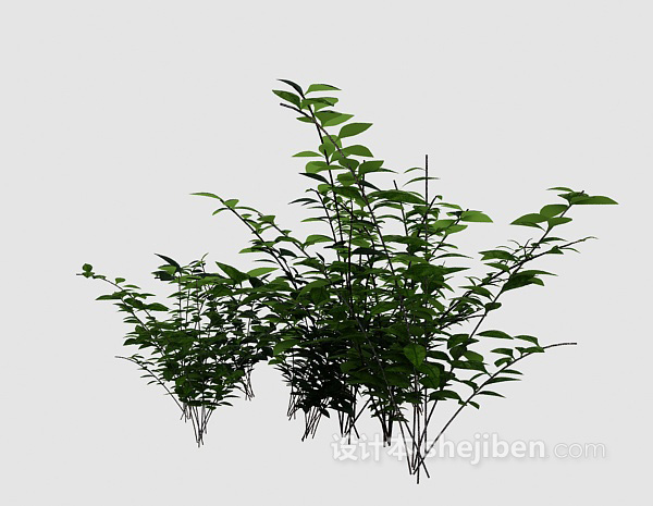 室外绿色植物3d模型下载