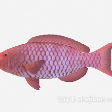紫色的鱼3d模型下载