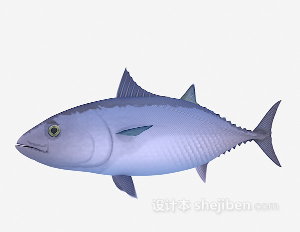设计本小胖鱼3d模型下载