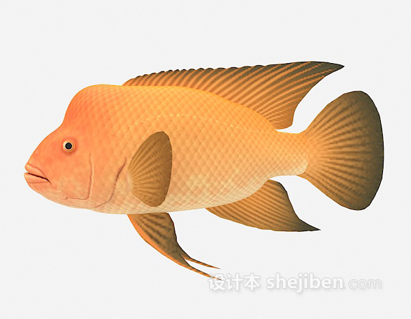 黄色鱼3d模型下载