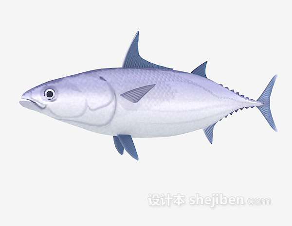 设计本鱼3d模型下载