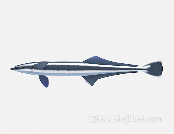 大鱼模型3d模型下载
