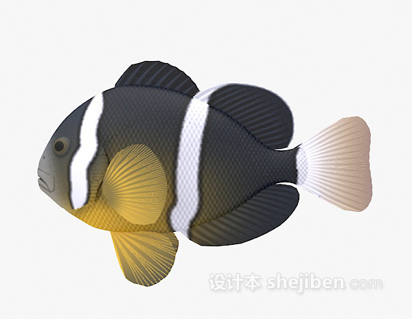 条纹鱼3d模型下载