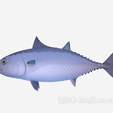 小胖鱼3d模型下载