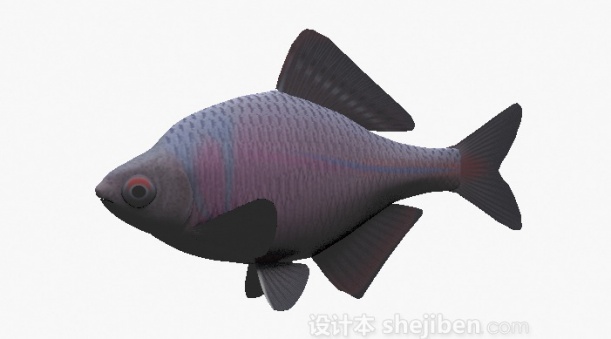 设计本紫色鱼3d模型下载