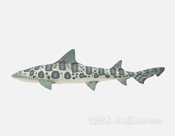 大鱼的3d模型下载