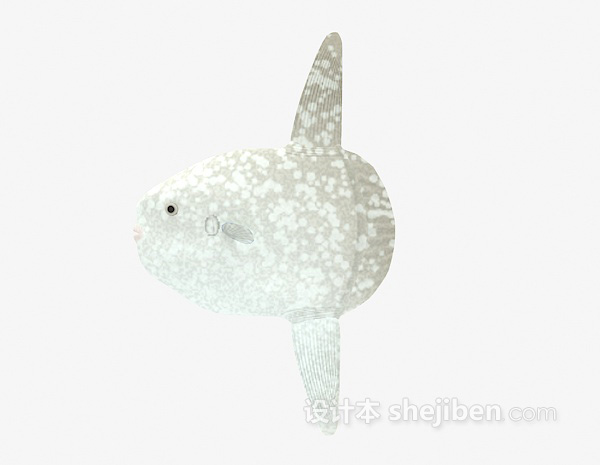 海鱼类3d模型欣赏