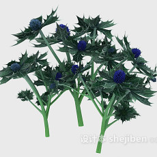 室外针形叶子植物3d模型下载