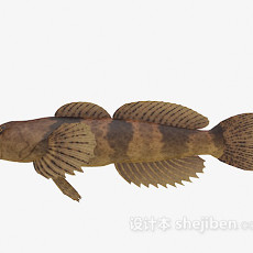 棕色的丑鱼3d模型下载