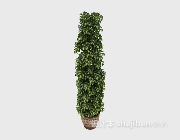 室内大型植物3d模型下载
