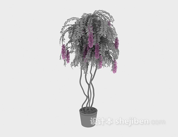 装饰植物3d模型下载