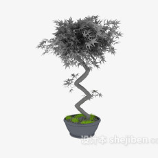 盆景植物3d模型下载