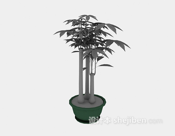 植物盆栽模型3d下载