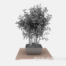花卉植物3d模型下载