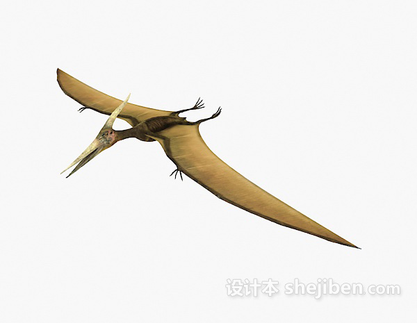 空中飞鸟3d模型下载