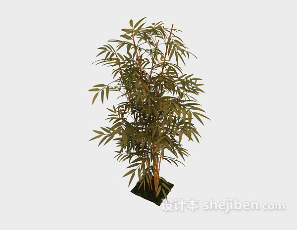 竹子植物3d模型下载