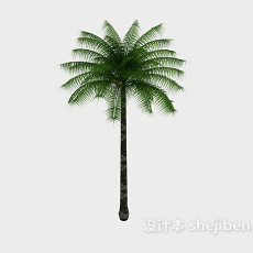 热带棕榈3d模型下载