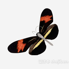 蝴蝶3d模型下载