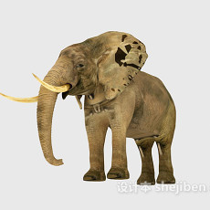 泰国大象3d模型下载