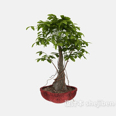 室内绿色植物3d模型下载