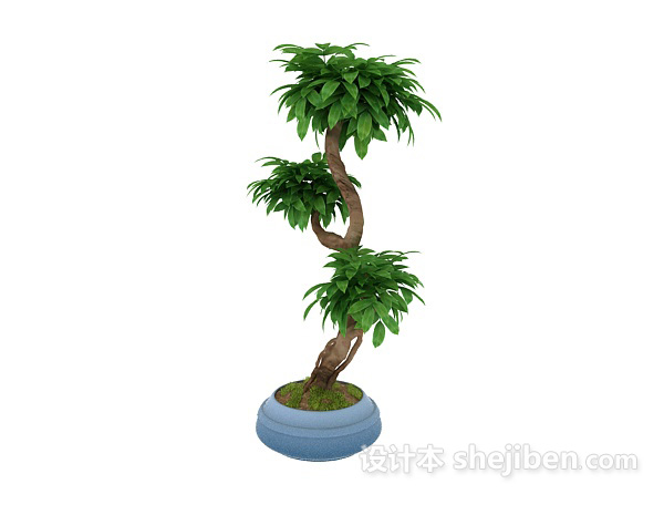 现代风格植物3d模型下载