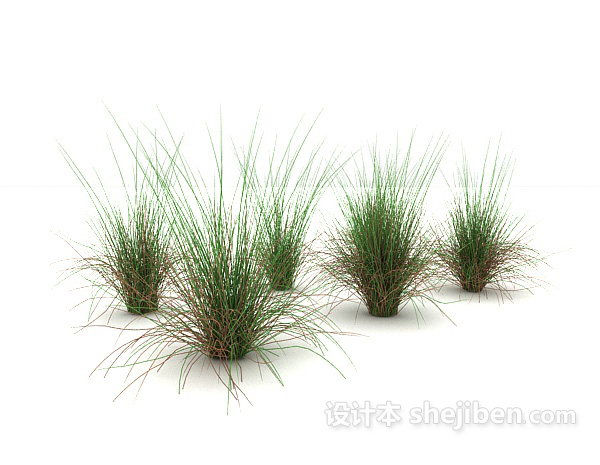 绿叶丛生植物3d模型下载