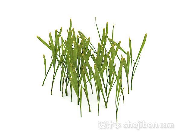 室外绿色植物花草3d模型下载