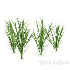 绿色植物幼苗3d模型下载
