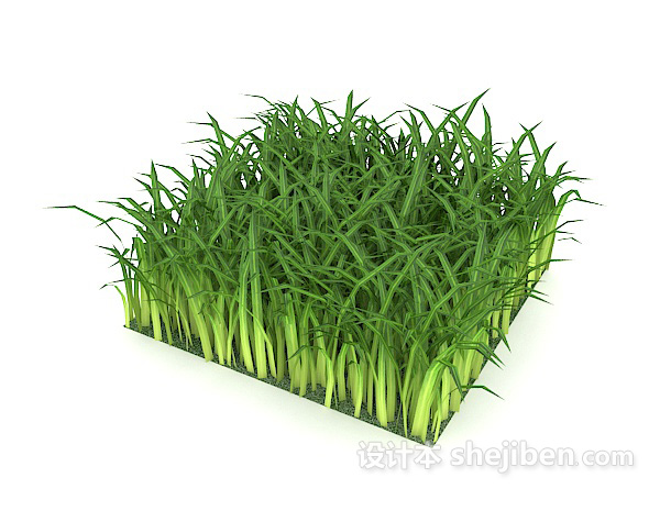 丛草植物3d模型下载
