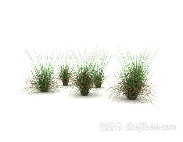 现代风格绿叶丛生植物3d模型下载