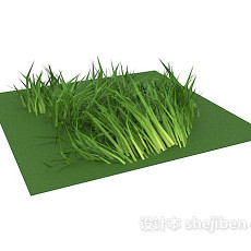 绿叶植物花草3d模型下载