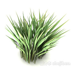 绿色尖叶植物3d模型下载