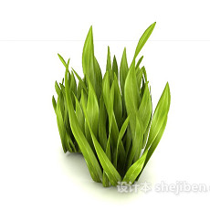 绿叶室外植物3d模型下载