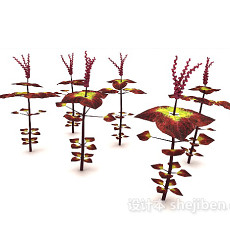 红叶植物3d模型下载
