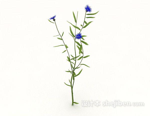 设计本蓝色开花植物3d模型下载