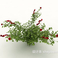 绿色花朵植物3d模型下载