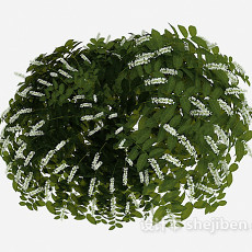 室外常见绿叶植物3d模型下载