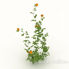 绿色室外植物花草3d模型下载