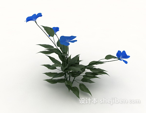 蓝色植物花卉
