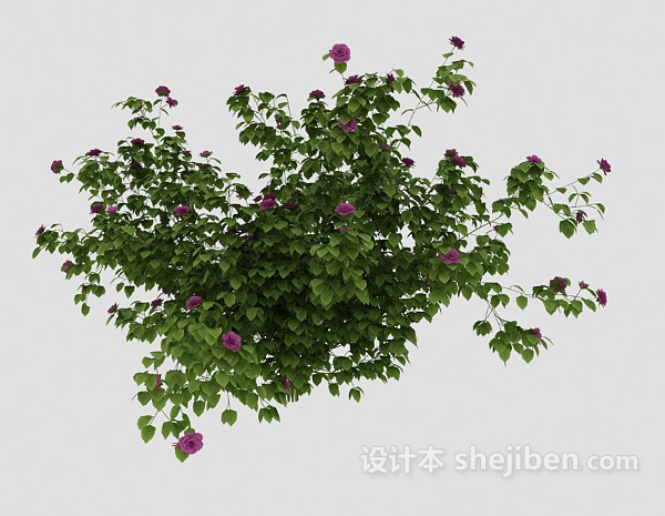 设计本植物花丛3d模型下载