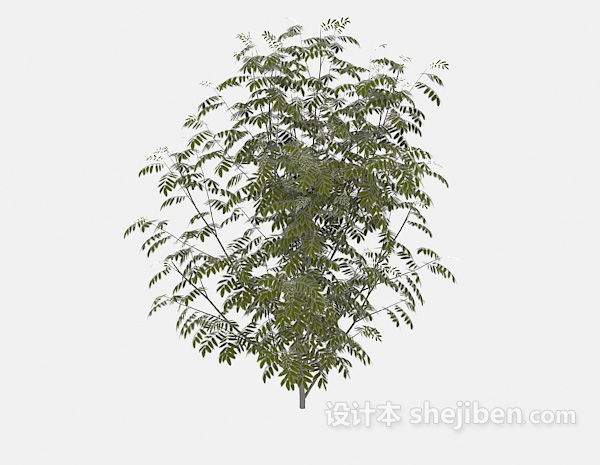 现代风格小棵绿叶植物3d模型下载