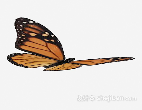 斑点蝴蝶3d模型下载