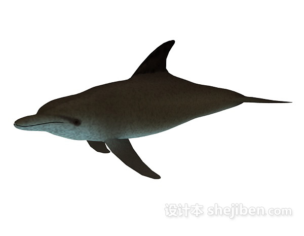 设计本鲨鱼玩具3d模型下载