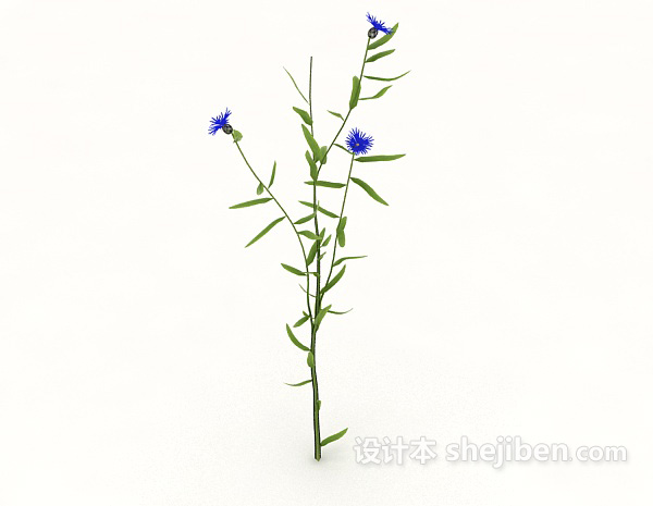 现代风格蓝色开花植物3d模型下载