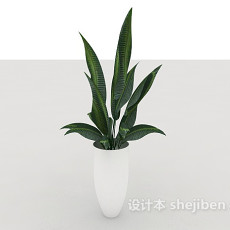 室内绿色盆栽3d模型下载
