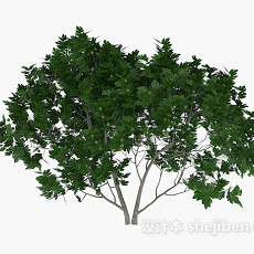 室外绿树植物3d模型下载